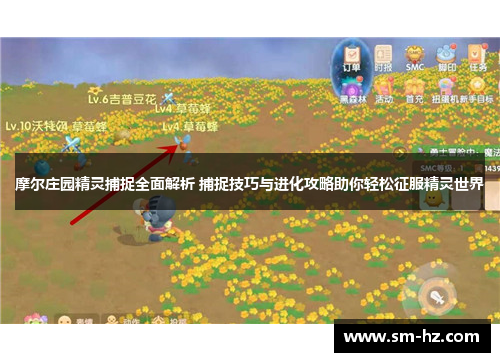 摩尔庄园精灵捕捉全面解析 捕捉技巧与进化攻略助你轻松征服精灵世界