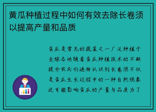 黄瓜种植过程中如何有效去除长卷须以提高产量和品质